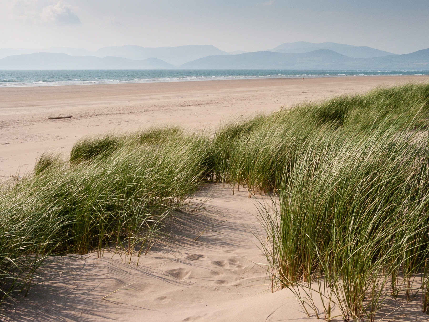 Rossbeigh Beach, Glenbeigh (Photo License CC-BY-SA-4.0)